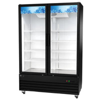 EFI C2-54GDX 54" Glass 2 Swing Door Black Commercial CoolerToronto Commercial Refrigeration