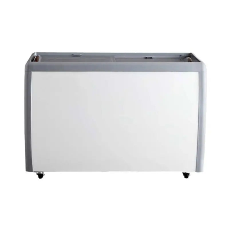 EFI FCFG-60 Commercial Novelty Refrigeration Display FreezerToronto Commercial Refrigeration
