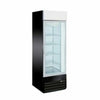 EFI X-LINE 27-inch Glass Single Door Black Commercial Freezer UnitToronto Commercial Refrigeration