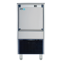 ITV DELTA NG 80 Gourmet Ice Machine with 33 lb Built-In Storage