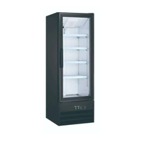 Ancaster Food Equipment G10 21.6-Inch Single Glass Door Merchandiser