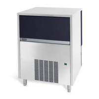 Brema GB1504AHC 368-lb Granular Flake Ice Machine with 88-lb Storage Bin