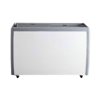 Congélateur commercial de crème glacée à vitre plate EFI FCFG-60 de 60,2 pouces