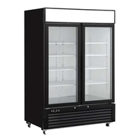 Congélateur de présentation commercial à double porte vitrée 48 pouces EFI F2-48GDVC
