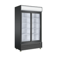 Ancaster AFE-G25 39.5" Double Sliding Glass Door Commercial Cooler
