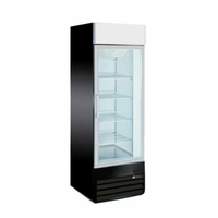 EFI X-Line F1-27GDVCX 27-Inch Commercial Glass Door Display Freezer