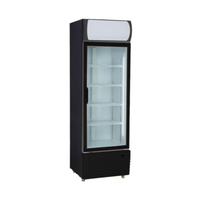 New Air NGF-054-H 27-Inch Commercial Glass Door Display Freezer - 19.56 Cu. Ft.