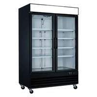 Ancaster Food Equipment AFE GF32 29 Cu. Ft. Two-Door Commercial Glass Display Freezer