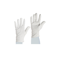 Campus Products LL100D-9 StemShine Universal White Glass Polishing Gloves