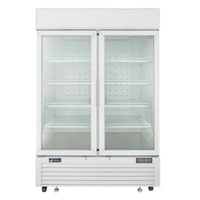 EFI FI2-54GDWVC 54.4-Inch Two-Door Glass Ice Cream Merchandiser - 43.8 Cu. Ft.