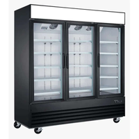 Ancaster Food Equipment GF60 3-Door Commercial Display Freezer
