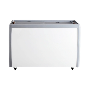 FG-360 Congélateur à crème glacée en verre plat, 50" Largeur - Toronto Commercial Refrigeration